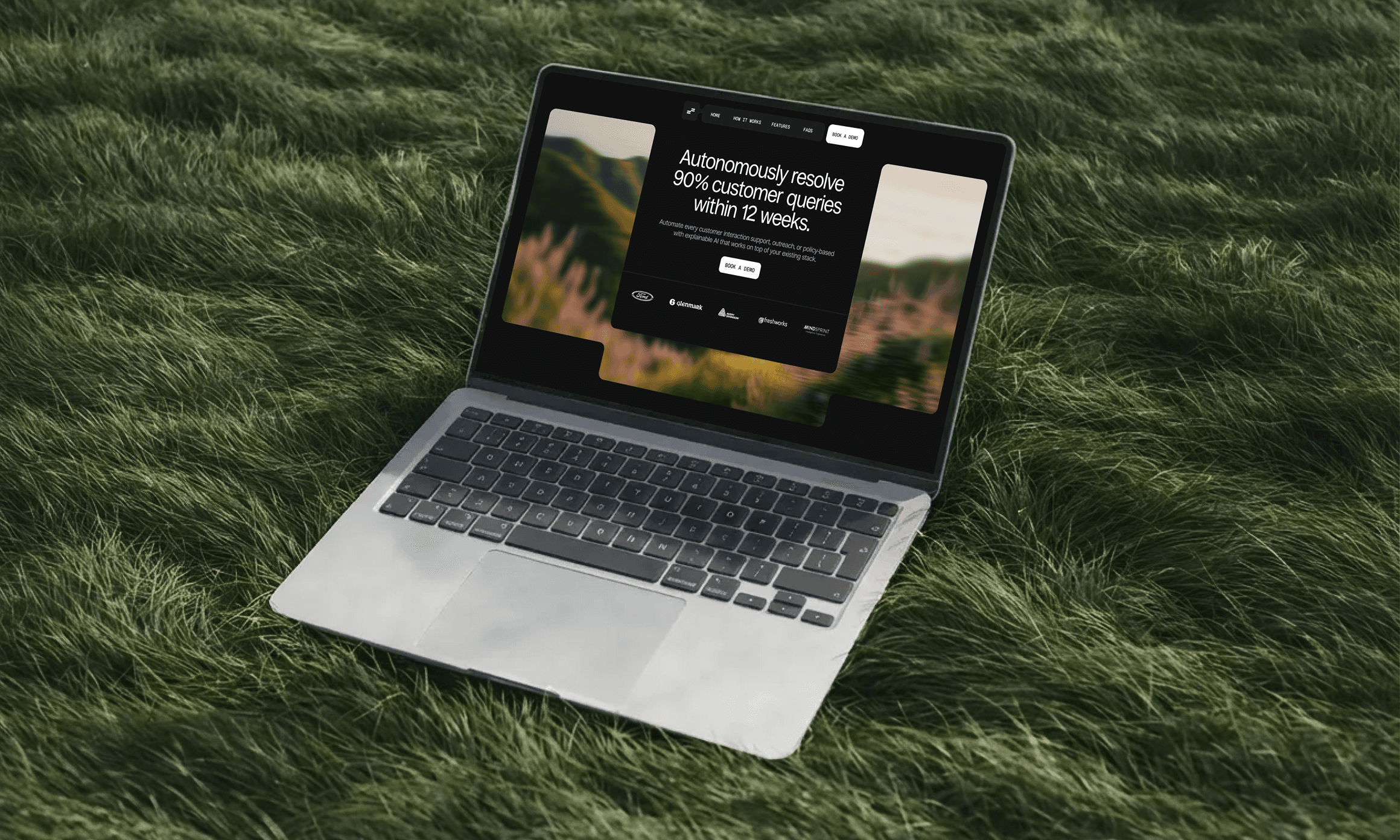 Sainapse website homepage on a laptop in tall grass